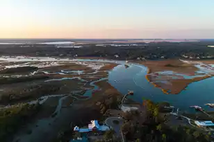 809 Roddin St, Daniel Island, SC 29492 - Photo 85