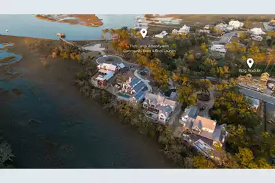 809 Roddin Street, Daniel Island, SC 29492 - Photo 5