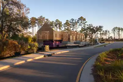 809 Roddin Street, Daniel Island, SC 29492 - Photo 59