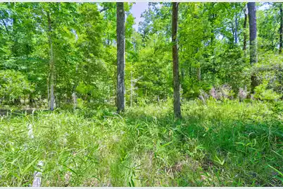 207 Woodlawn Street, Walterboro, SC 29488 - Photo 15