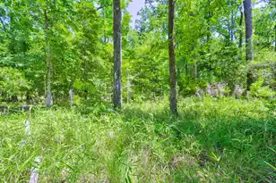 207 Woodlawn St, Walterboro, SC 29488 - Photo 15