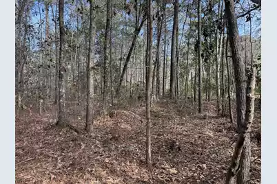 0 Lazy Hill Road, Moncks Corner, SC 29461 - Photo 3