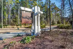 421 Bowstring Dr, Huger, SC 29450 - Photo 53