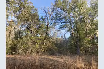 1970 Liberia Road, Wadmalaw Island, SC 29487 - Photo 3