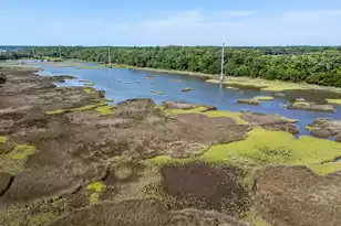 821 Longbranch Dr, Charleston, SC 29414 - Photo 1