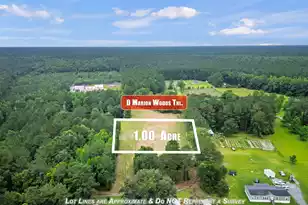 0 Marion Woods Trail, Bonneau, SC 29431 - Photo 1