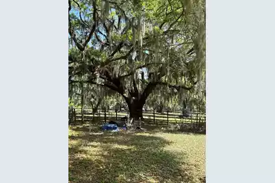 4347 Chisolm Road, Johns Island, SC 29455 - Photo 25