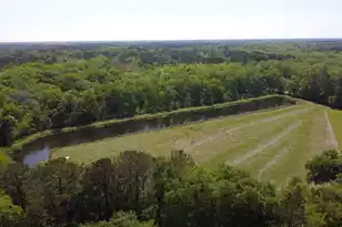 4347 Chisolm Rd, Johns Island, SC 29455 - Photo 23