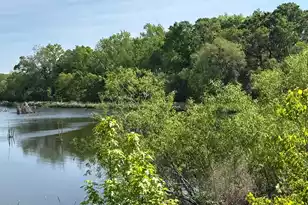 4347 Chisolm Rd, Johns Island, SC 29455 - Photo 25