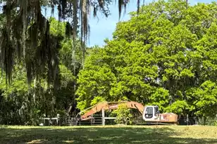 4347 Chisolm Rd, Johns Island, SC 29455 - Photo 21