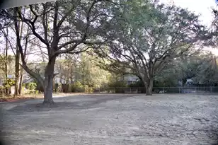 6239 Ballpark Rd, Hollywood, SC 29449 - Photo 21