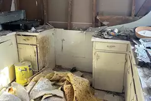 1381 Gausetown Rd, Kingstree, SC 29556 - Photo 13