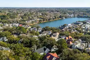 87 Secession St, Mount Pleasant, SC 29464 - Photo 65