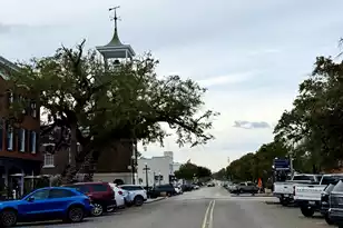 613 Cypress Ct, Georgetown, SC 29440 - Photo 39