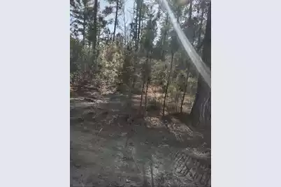 71 Breanna Court, Cottageville, SC 29435 - Photo 1