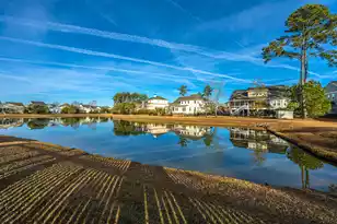 1193 Ayers Plantation Way, Mount Pleasant, SC 29466 - Photo 45