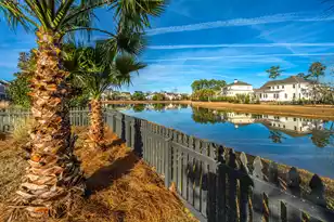 1193 Ayers Plantation Way, Mount Pleasant, SC 29466 - Photo 43