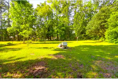 110 Copperhead Court, Round O, SC 29474 - Photo 29