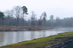 573 Sandridge Rd, Dorchester, SC 29437 - Photo 5