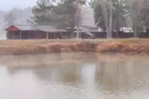 573 Sandridge Rd, Dorchester, SC 29437 - Photo 7