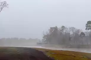 573 Sandridge Rd, Dorchester, SC 29437 - Photo 11