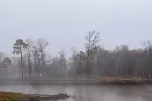 573 Sandridge Rd, Dorchester, SC 29437 - Photo 9