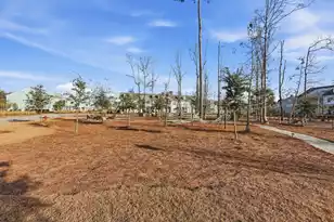 3087 Sturbridge Rd, Mount Pleasant, SC 29466 - Photo 31