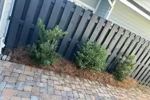 3089 Park W Blvd, Mount Pleasant, SC 29466 - Photo 51