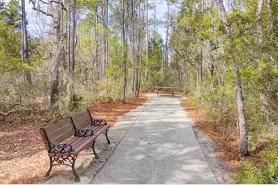 357 Blowing Fresh Drive, Charleston, SC 29492 - Photo 49