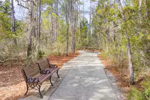 357 Blowing Fresh Dr, Charleston, SC 29492 - Photo 49