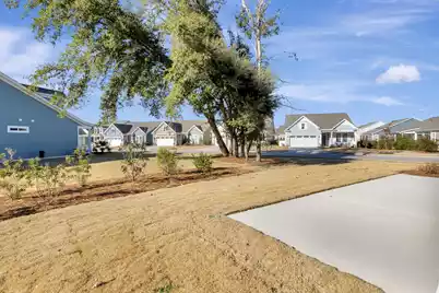 120 Black Stilt Way, Summerville, SC 29483 - Photo 33