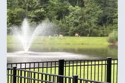 4060 Aspera Drive, Summerville, SC 29483 - Photo 45