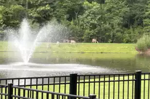 4060 Aspera Dr, Summerville, SC 29483 - Photo 45