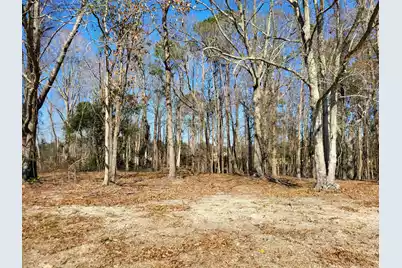 Lot 1 Santee Lumber Road, Santee, SC 29142 - Photo 1