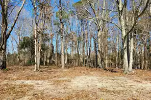 Lot 1 Santee Lumber Rd, Santee, SC 29142 - Photo 1