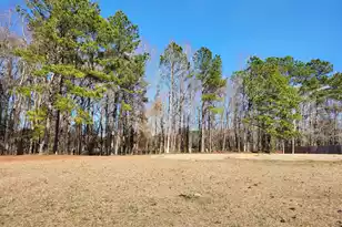 Lot 2 Santee Lumber Rd, Santee, SC 29142 - Photo 1