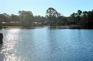 105 Mourning Dove Dr, Bonneau, SC 29431 - Photo 7