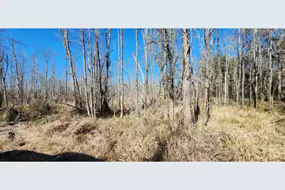 0 Bama Road, Cottageville, SC 29435 - Photo 17