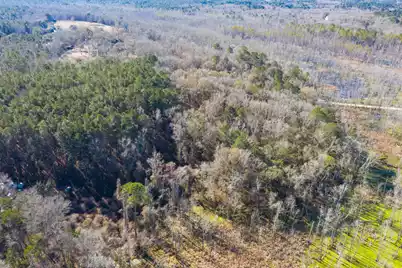 0 Bama Road, Cottageville, SC 29435 - Photo 33