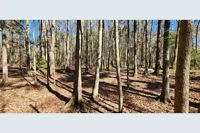 0 Bama Road, Cottageville, SC 29435 - Photo 9