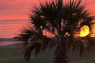 91 Mariners Cay Dr, Folly Beach, SC 29439 - Photo 21