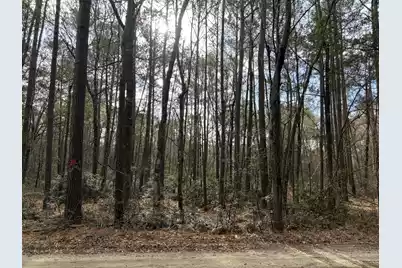 0 Hercules Lane, McClellanville, SC 29458 - Photo 1