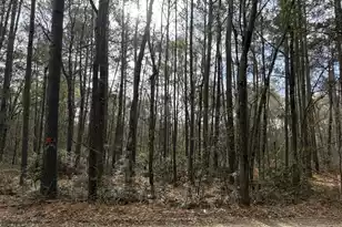 0 Hercules Ln, McClellanville, SC 29458 - Photo 1