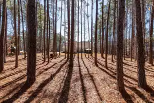 1119 Etowah Dr, Ridgeville, SC 29472 - Photo 47