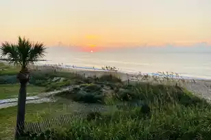 1508 Palmetto Blvd, Edisto Beach, SC 29438 - Photo 3