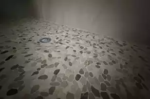 716 Rumbling Leaf Ln, Summerville, SC 29486 - Photo 17