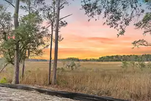 113 Silverbell Ln, Ravenel, SC 29470 - Photo 17