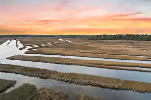 113 Silverbell Ln, Ravenel, SC 29470 - Photo 13