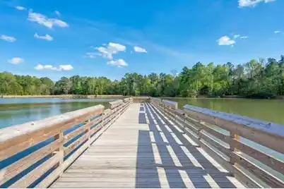 164 Ashley Bluffs Road, Summerville, SC 29485 - Photo 43