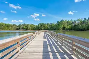 164 Ashley Bluffs Rd, Summerville, SC 29485 - Photo 43